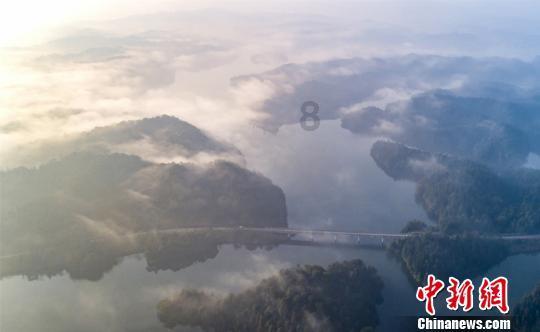 第37集《佛法修学概要》